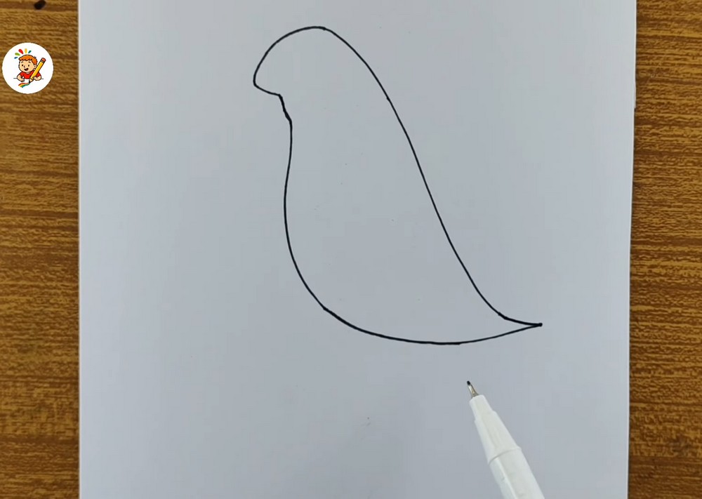 Easy Parrot Drawing for Beginners
