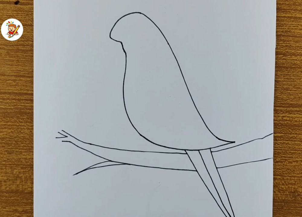 Easy Parrot Drawing for Beginners