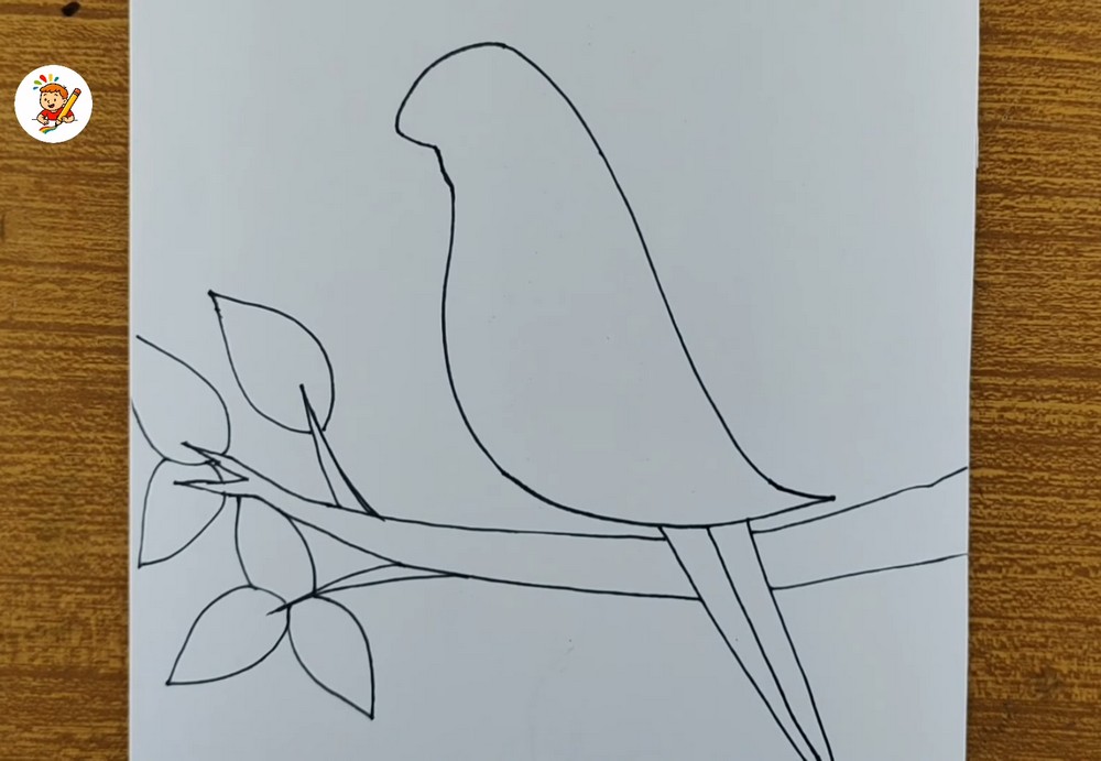 Easy Parrot Drawing for Beginners
