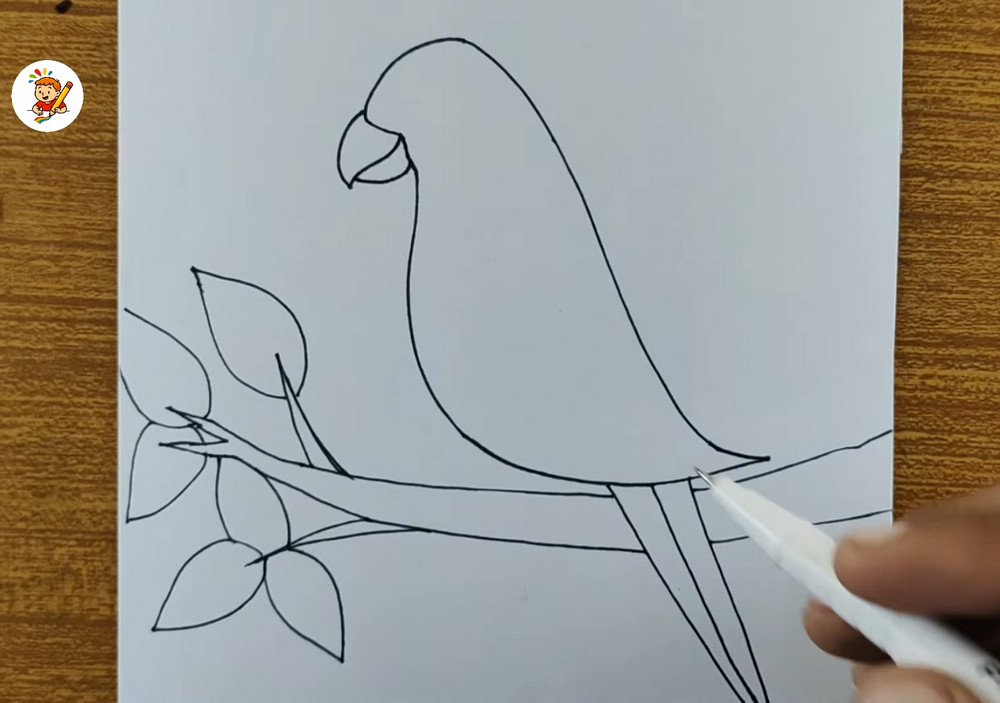 Easy Parrot Drawing for Beginners