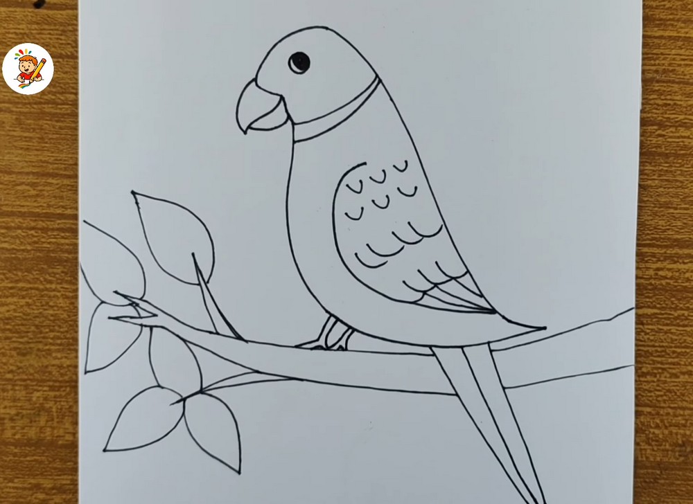 Easy Parrot Drawing for Beginners