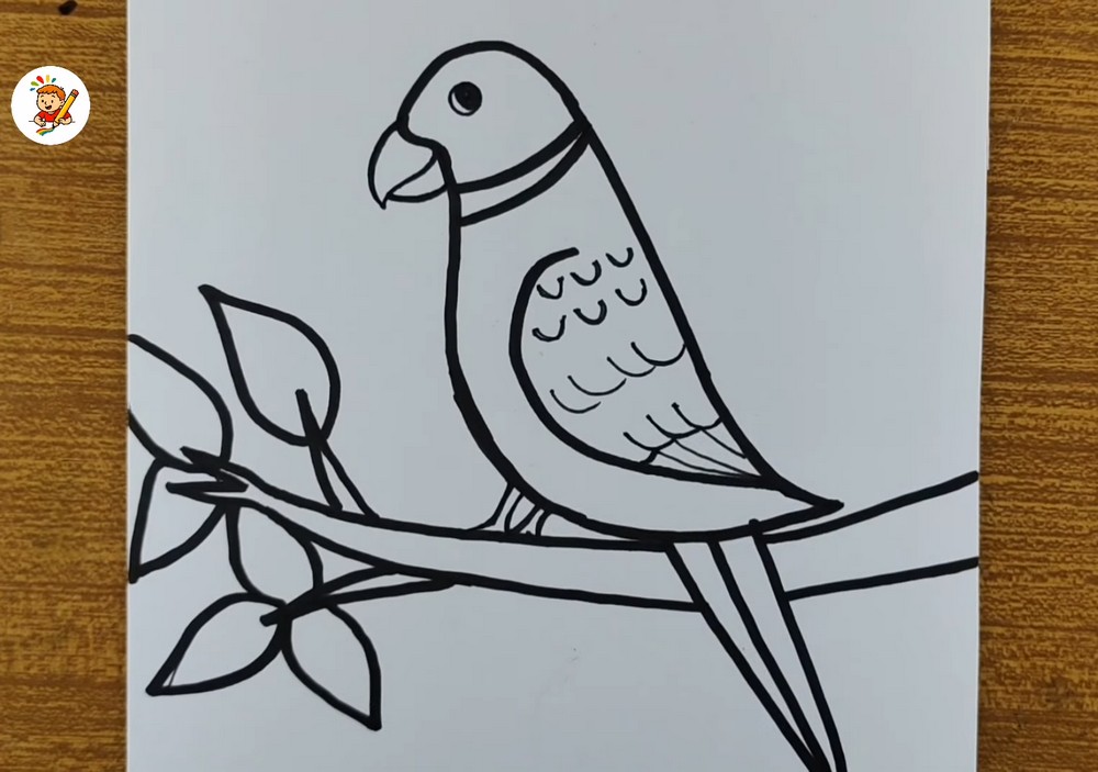 Easy Parrot Drawing for Beginners