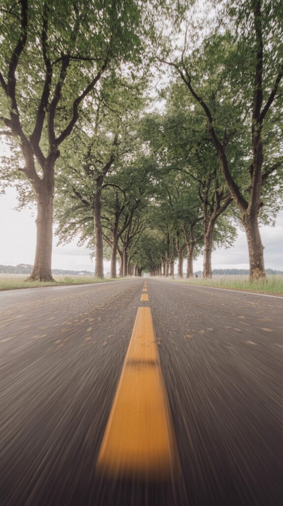Country Road Perspective