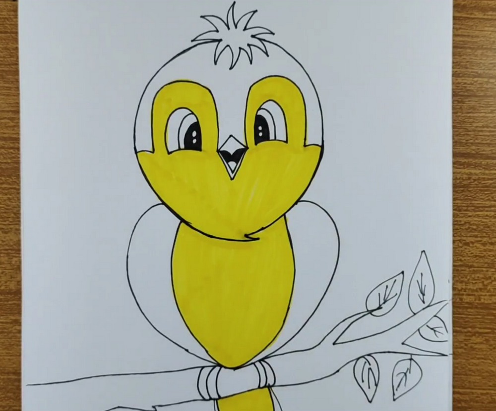 Cute Blue & Yellow Bird Drawing and Coloring Tutorial