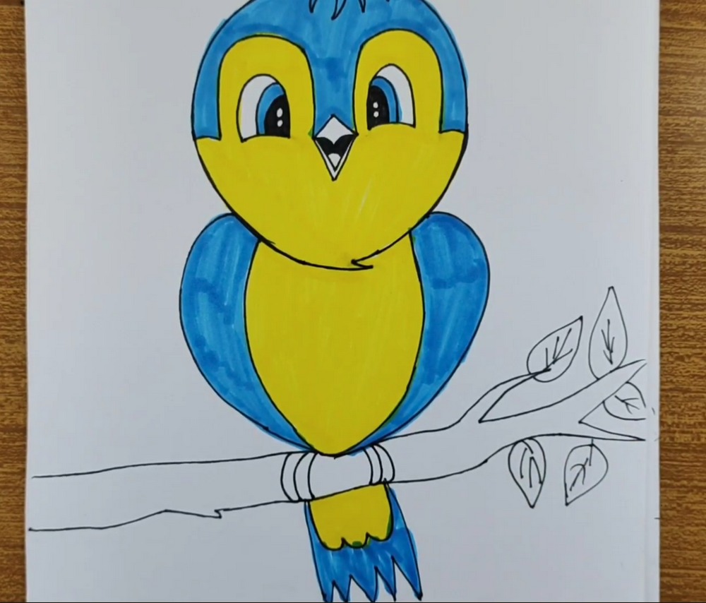 Cute Blue & Yellow Bird Drawing and Coloring Tutorial