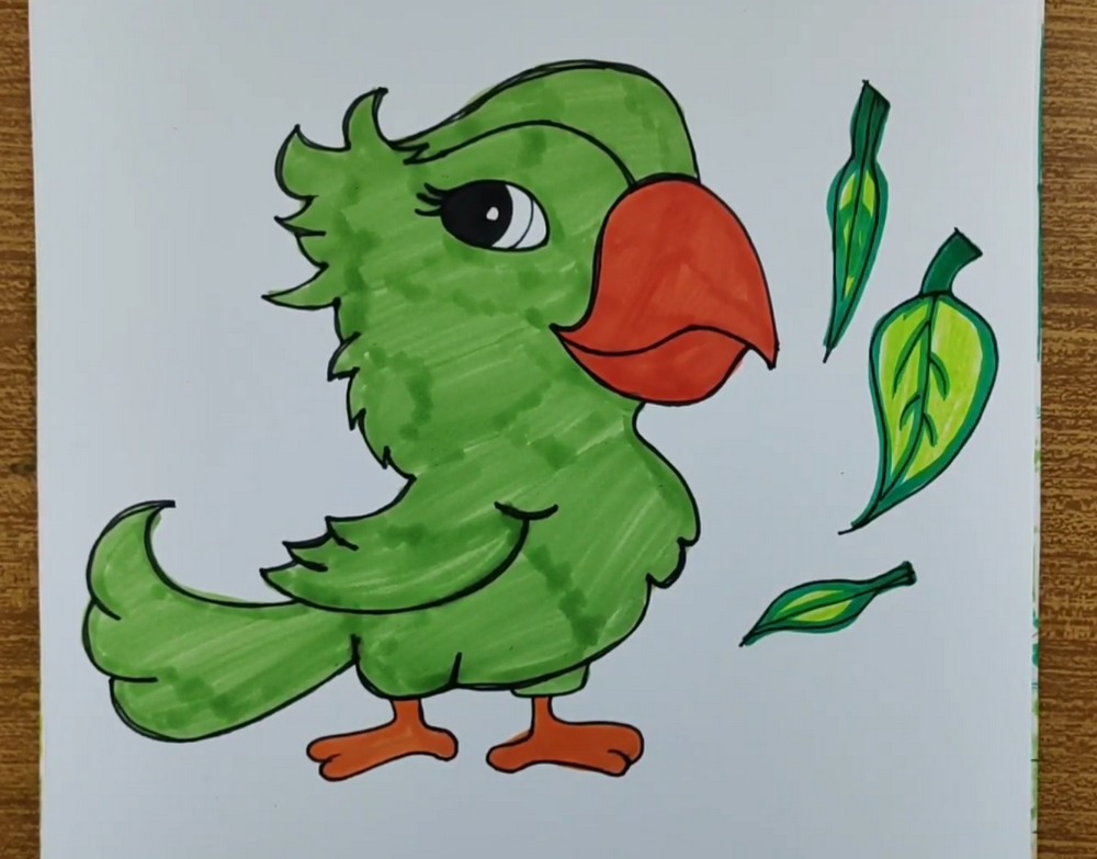 Cute Parrot Drawing and Coloring