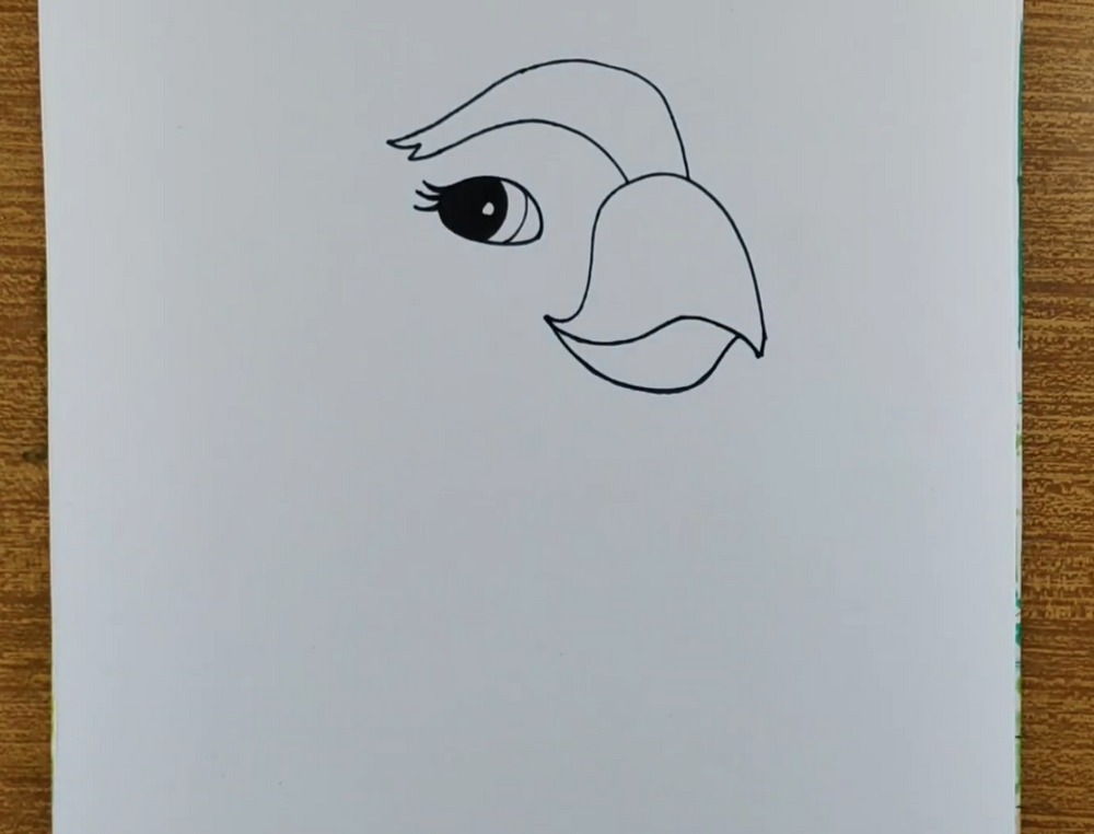 Cute Parrot Drawing and Coloring