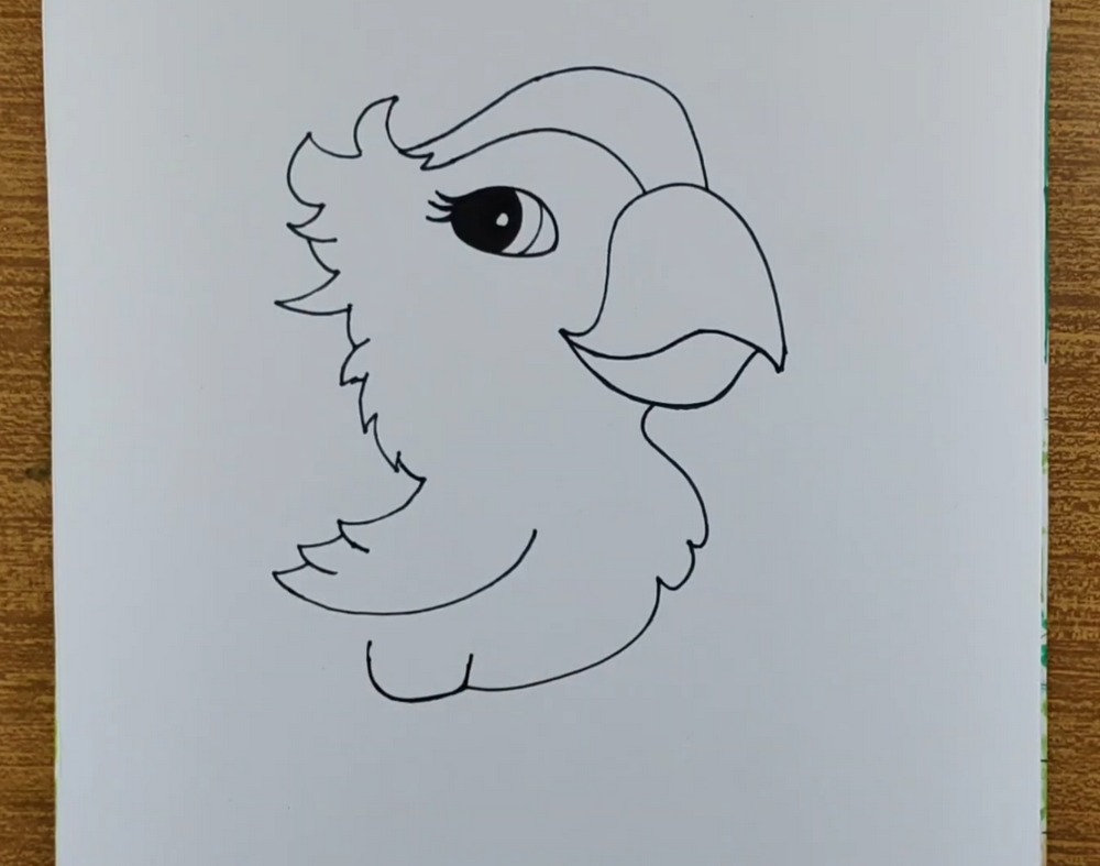 Cute Parrot Drawing and Coloring
