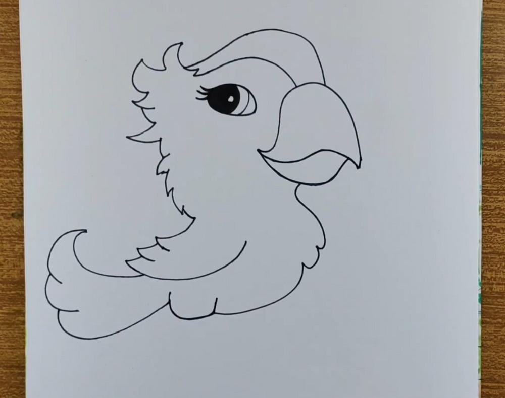 Cute Parrot Drawing and Coloring