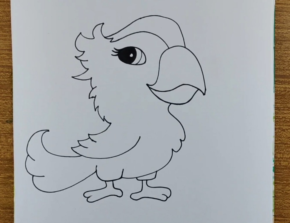 Cute Parrot Drawing and Coloring