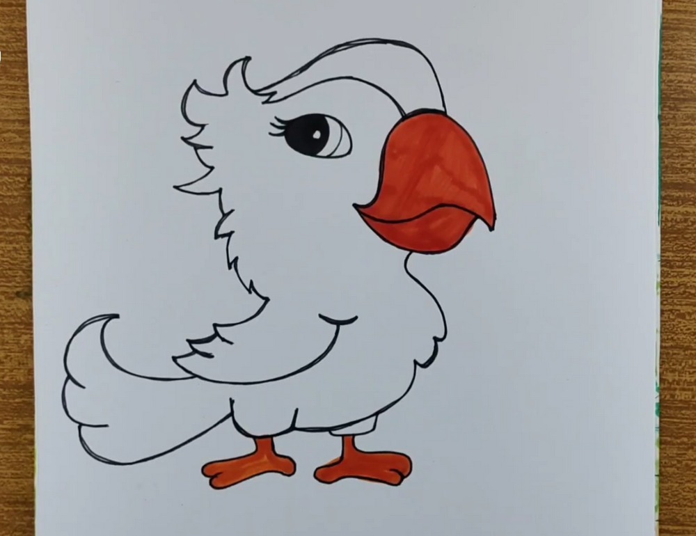 Cute Parrot Drawing and Coloring