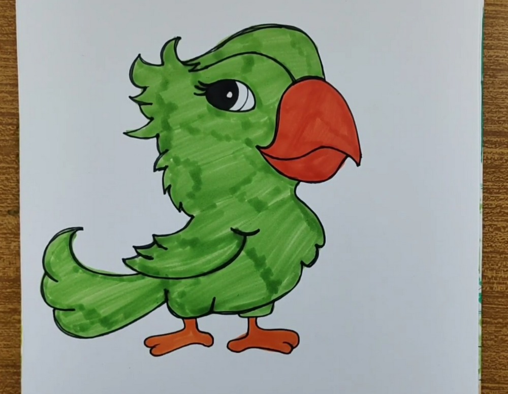Cute Parrot Drawing and Coloring
