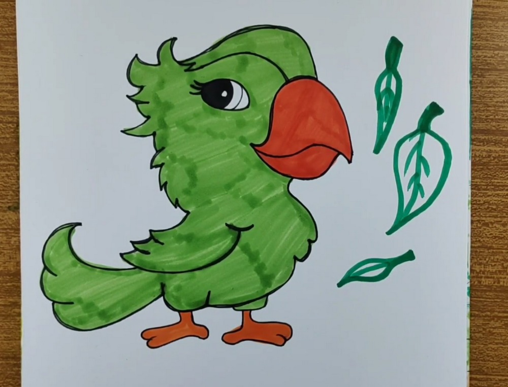 Cute Parrot Drawing and Coloring