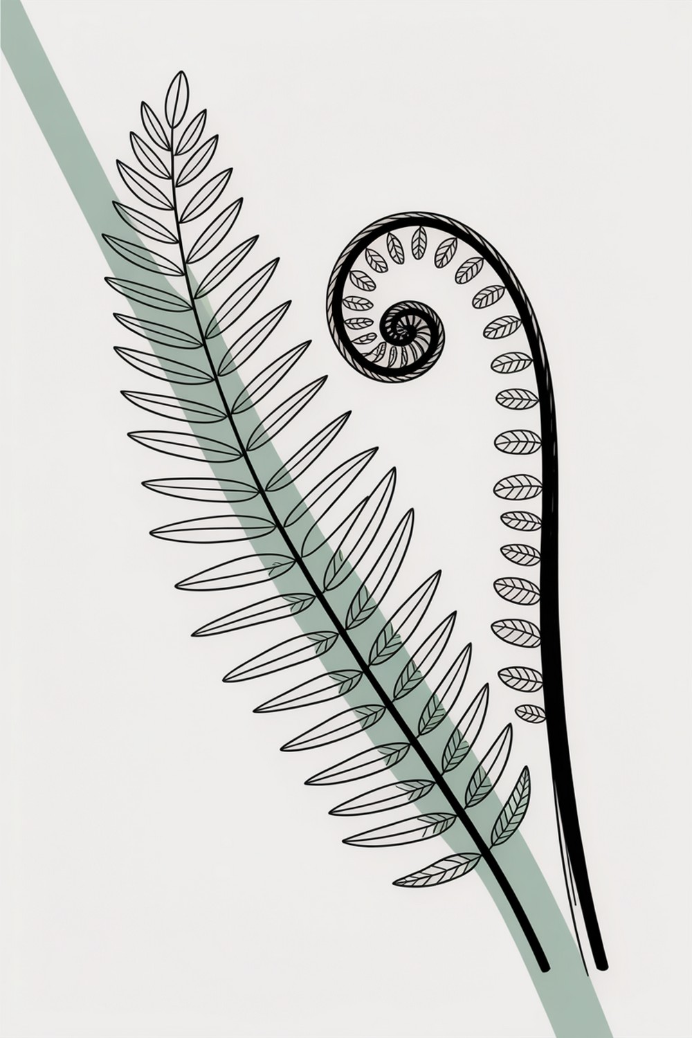Fern Fronds Botanical Line Art
