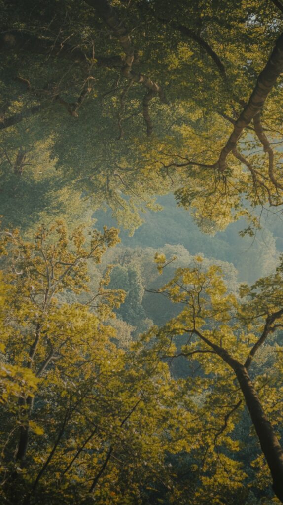 Golden Forest Canopy