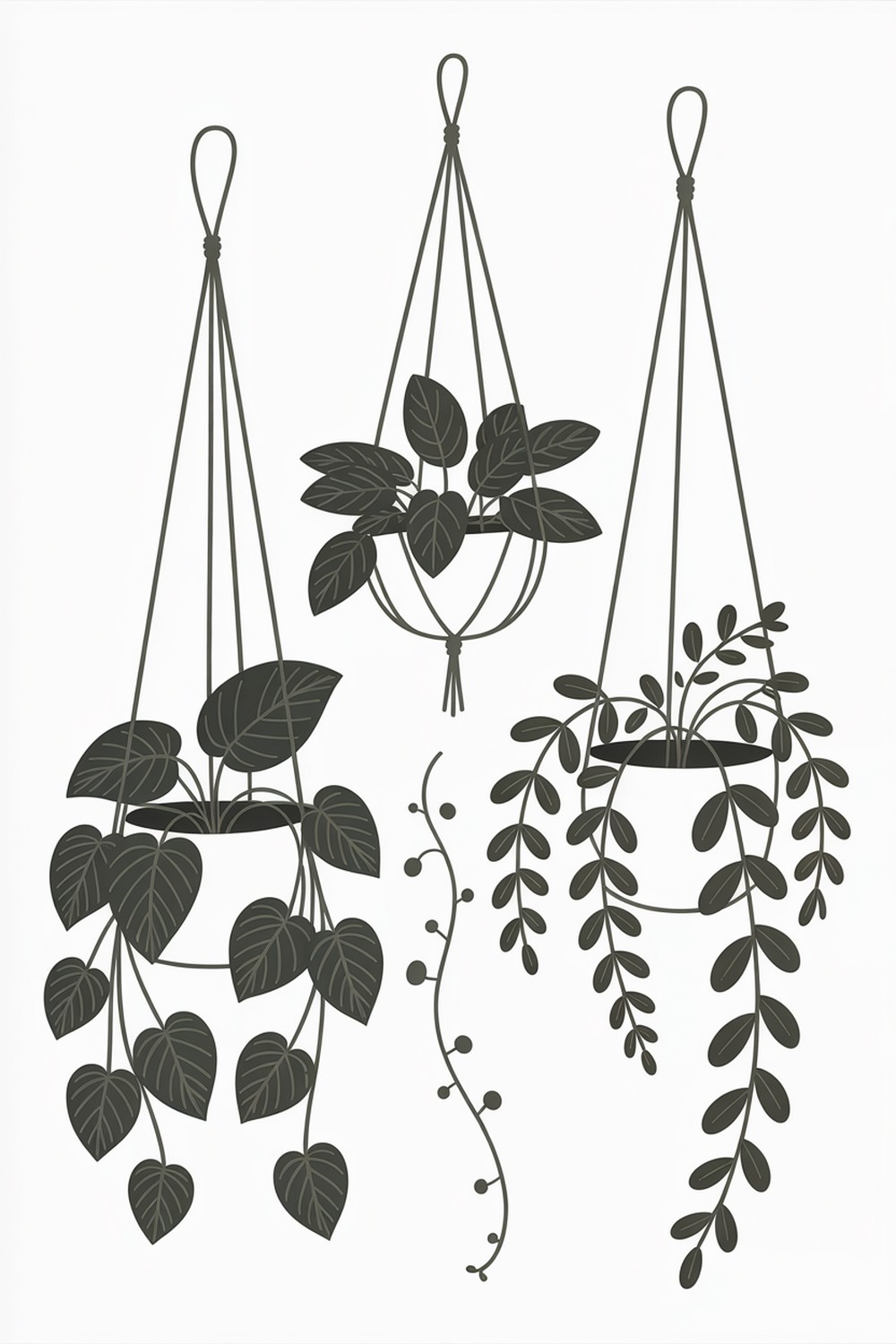 Hanging Houseplants Botanical Line Art