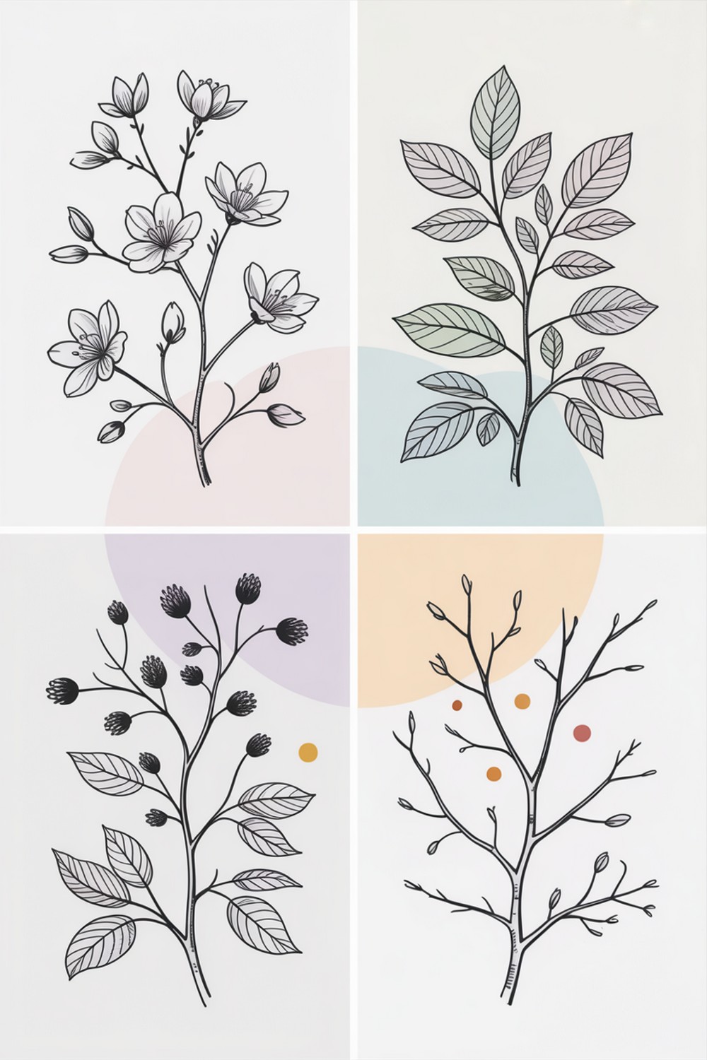 Seasonal Branch Study Botanical Line Art