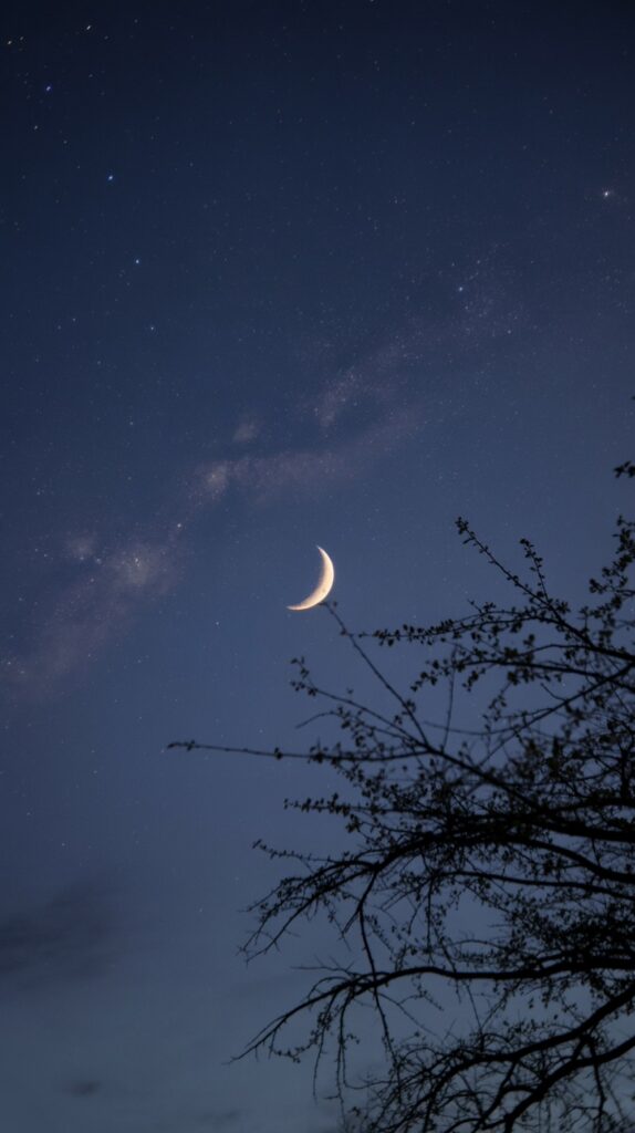 Starry Autumn Nightfall