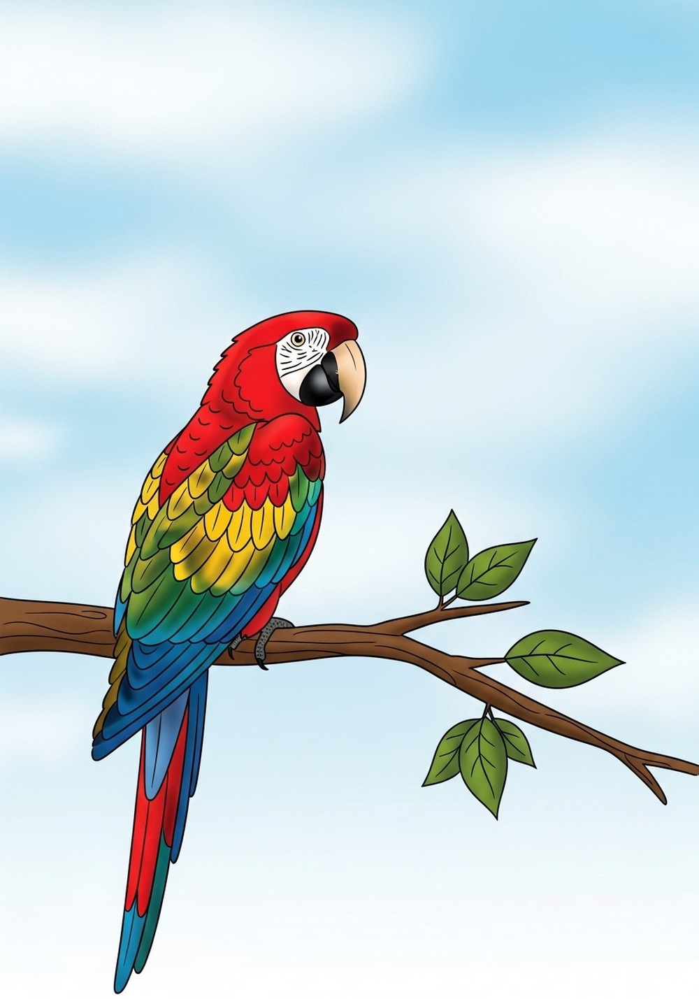 Colorful Parrot On A Perch Drawing