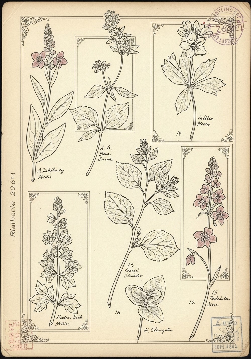 Vintage Botanical Page Layout